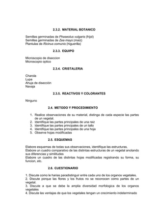 2.3.2. MATERIAL BOTANICO
Semillas germinadas de Phaseolus vulgaris (frijol)
Semillas germinadas de Zea mays (maiz)
Plantulas de Ricinus comunis (higuerilla)
2.3.3. EQUIPO
Microscopio de diseccion
Microscopio optico
2.3.4. CRISTALERIA
Charola
Lupa
Ahuja de disección
Navaja
2.3.5. REACTIVOS Y COLORANTES
Ninguno
2.4. METODO Y PROCEDIMIENTO
1. Realice observaciones de su material, distinga de cada especie las partes
de un vegetal.
2. Identifique las partes principales de una raiz
3. Identifique las partes principales de un tallo
4. Identifique las partes principales de una hoja
5. Observe hojas modificadas
2.5. ESQUEMAS
Elabore esquemas de todas sus observaciones, identifique las estructuras.
Elabore un cuadro comparativo de las distintas estructuras de un vegetal anotando
sus diferencias y similitudes
Elabore un cuadro de las distintas hojas modificadas registrando su forma, su
funcion, etc.
2.6. CUESTIONARIO
1. Discute como le harias paradistinguir entre cada uno de los organos vegetales.
2. Discute porque las flores y los frutos no se reconocen como partes de un
vegetal.
3. Discute a que se debe la amplia diversidad morfologica de los organos
vegetales
4. Discute las ventajas de que los vegetales tengan un crecimiento indeterminado
 