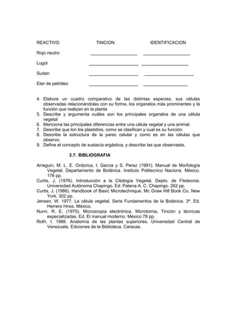 REACTIVO TINCION IDENTIFICACION
Rojo neutro ___________________ ___________________
Lugol ____________________ ___________________
Sudan ____________________ ____________________
Eter de petróleo ____________________ __________________
4. Elabore un cuadro comparativo de las distintas especies, sus células
observadas relacionándolas con su forma, los organelos más prominentes y la
función que realizan en la planta
5. Describe y argumenta cuáles son los principales organelos de una célula
vegetal
6. Menciona las principales diferencias entre una célula vegetal y una animal.
7. Describe que lon los plastidios, como se clasifican y cual es su función.
8. Describe la estructura de la parec celular y como es en las células que
observo.
9. Define el concepto de sustacia ergástica, y describe las que observaste.
3.7. BIBLIOGRAFIA
Arreguin, M. L. E. Ordorica, I. Garcia y S. Perez (1991). Manual de Morfología
Vegetal. Departamento de Botánica. Instituto Politecnico Naciona. México.
176 pp.
Curtis, J. (1976). Introducción a la Citología Vegetal. Depto. de Fitotecnia.
Universidad Autónoma Chapingo. Ed. Patena A. C. Chapingo. 262 pp.
Curtis, J. (1986). Handbook of Basic Microtechnique. Mc Graw Hill Book Co. New
York. 302 pp.
Jensen, W. 1977. La célula vegetal. Serie Fundamentos de la Botánica. 3ª. Ed.
Herrero Hnos. México.
Nunn, R. E. (1975). Microscopia electrónica. Microtomia, Tinción y técnicas
especializadas. Ed. El manual moderno. México 78 pp.
Roth, I. 1966. Anatomía de las plantas superiores. Universidad Central de
Venezuela. Ediciones de la Biblioteca. Caracas.
 