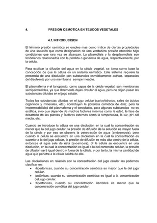 4. PRESION OSMOTICA EN TEJIDOS VEGETALES
4.1.INTRODUCCION
El término presión osmótica se emplea mas como índice de ciertas propiedades
de una solución que como designación de una verdadera presión obtenible bajo
condiciones que rara vez se alcanzan. La plasmolisis y la desplasmolisis son
fenómenos relacionados con la pérdida o ganancia de agua, respectivamente, por
la célula.
Para explicar la difusión del agua en la célula vegetal, se toma como base la
concepción de que la célula es un sistema osmótico. Este sistema requiere la
presencia de una disolución con substancias osmóticamente activas, separadas
del disolvente por una membrana semipermeable.
El plasmalema y el tonopalsto, como capas de la célula vegetal, son membranas
semipermeables, ya que libremente dejan circular el agua, pero no dejan pasar las
substancias diluidas en el jugo celular.
Todas las substancias diluidas en el jugo celular (carbohidratos, sales de ácidos
orgánicos y minerales, etc.) constituyen la potencia osmótica de éste; pero la
impermeabilidad del plasmalema y el tonoplasto, para algunas substancias no es
estática, sino que depende de muchos factores internos como la edad, la fase de
desarrollo de las plantas y factores externos como la temperatura, la luz, pH del
medio, etc.
Cuando se introduce la célula en una disolución en la cual la concentración es
menor que la del jugo celular, la presión de difusión de la solución es mayor fuera
de la célula y por eso se observa la penetración de agua (endosmosis); pero
cuando la célula se encuentra en una disolución en la cual la concentración es
superior a la del jugo celular, la presión de difusión es más alta dentro de la célula,
entonces el agua sale de ésta (exosmosis). Si la célula se encuentra en una
disolución, en la cual la concentración es igual a la del contenido celular, la presión
de difusión será igual dentro y fuera de la célula, y por tanto, la misma cantidad de
agua que penetre a la célula saldrá de ella.
Las disoluciones en relación con la concentración del jugo celular las podemos
clasificar en:
• Hipertónicas, cuando su concentración osmótica es mayor que la del jugo
celular.
• Isotónicas, cuando su concentración osmótica es igual a la concentración
del jugo celular.
• Hipertónicas, cuando su concentración osmótica es menor que la
concentración osmótica del jugo celular.
 