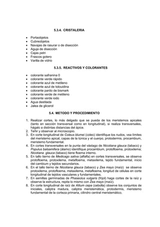 5.3.4. CRISTALERIA
• Portaobjetos
• Cubreobjetos
• Navajas de rasurar o de disección
• Aguja de disección
• Cajas petri
• Frascos gotero
• Varilla de vidrio
5.3.5. REACTIVOS Y COLORANTES
• colorante safranina 0
• colorante verde rápido
• colorante azul de metileno
• colorante azul de tolouidina
• colorante pardo de bismark
• colorante verde de metileno
• colorante verde iodo
• Agua destilada
• Jalea de glicerol
5.4. METODO Y PROCEDIMIENTO
1. Realizar cortes, lo más delgado que se pueda de los meristemos apicales
(tanto en sección transversal como en longitudinal), si realiza transversales,
hágalo a distintas distancias del ápice.
2. Teñir y observar al microscopio.
3. En corte longitudinal de Coleus blumei (coleo) identifique los nudos, vea límites
del meristemo apical, capas de la túnica y el cuerpo, protodermis, procambium,
meristemo fundamental.
4. En cortes transversales en la punta del vástago de Nicotiana glauca (tabaco) y
Populus balsamifera (álamo) identifique procambium, protofloema, protoxilema;
Nicotiana glauca (tabaco) tiene floema interno.
5. En tallo tierno de Medicago sativa (alfalfa) en cortes transversales, se observa
protofloema, protoxilema, metafloema, metaxilema, tejido fundamental, inicio
del cambium y tejidos secundarios.
6. En el tallo tierno de Nicotiana glauca (tabaco) y Zea mays (maíz) se observa
protoxilema, protofloema, metaxilema, metafloema, longitud de células en corte
longitudinal de tejidos vasculares y fundamentales.
7. En semillas germinadas de Phaseolus vulgaris (frijol) haga cortes de la raíz y
observe la estructura, repita lo mismo con Zea mays (maíz).
8. En corte longitudinal de raíz de Allium cepa (cebolla) observe los conjuntos de
iniciales, caliptra madura, caliptra meristemática, protodermis, meristemo
fundamental de la corteza primaria, cilindro central meristemático.
 