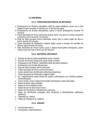 6.3.MATERIAL
6.3.1. PREPARACION PREVIA DE MATERIAL
a. Endospermo de Phoenix dactylifera (dátil de palma datilera), poner uno o dos
dátiles a hervir durante 15 minutos en ¼ de taza de agua.
b. Endospermo de Ensete (Musaceae), poner a hervir endospermo durante 15
minutos.
c. Pulpa disociada de Pyrus communis (pera), partir una pera en trozos pequeños
y ponerla a hervir durante 10 minutos.
d. Hoja de Olea europea (olivo) disociada, poner tres o cuatro hojas de olivo a
hervir durante 20 minutos.
e. Testa disociada de Phaseolus vulgaris (frijol), poner a remojar 25 semillas de
frijol en agua durante 24 horas.
f. Hoja disociada de Yucca (izote, yuca) o Agave foucroydes (henequen), poner
varios trozos de hoja a hervir por 30 minutos.
6.3.2. MATERIAL BOTANICO
• Pecíolo de Canna indica (platanillo) recién cortado
• Pecíolo de Rumex (lengua de vaca) recién cortado
• Endospermo de Phoenix dactylifera (dátil de palma datilera)
• Endospermo de Ensete (Museceae)
• Hoja de Olea europea (olivo) disociada
• Pulpa disociada de Pyrus communis (pera)
• raíces adventicias de Monstera deliciosa (piñanona).
• Testa disociada de Phaseolus vulgaris (frijol)
• En Lagerstroemia indica (Arbol de Jupiter; Lythraceae) o en Trichilia (caobillo,
Anacardiaceae)
• Yucca (izote, yuca) o Agave foucroydes (henequen), hojas disociada,
• Bulbo de Alliun cepa (cebolla)
• Hojas de Ficus elástica (hule)
• Hojas tiernas de Zea mays (maíz)
• Hojas de Pennisetum clandestinum (quicuyo)
• Hojas de Eichhornia crassipes (lirio acuatico) o Zantesdechia aethiopica
(alcatraz)
• Tillandsia sp. (Heno)
• Tallos de Impatiens sp. (belem)
6.3.3. EQUIPO
• microscopio óptico
• microscopio estereoscópico
 