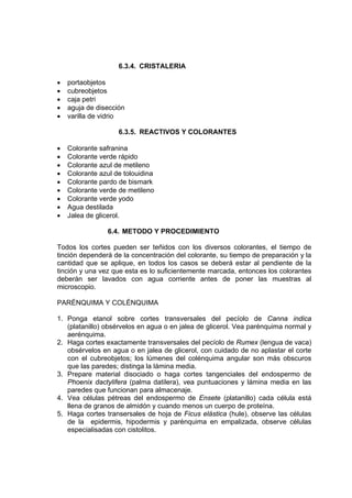 6.3.4. CRISTALERIA
• portaobjetos
• cubreobjetos
• caja petri
• aguja de disección
• varilla de vidrio
6.3.5. REACTIVOS Y COLORANTES
• Colorante safranina
• Colorante verde rápido
• Colorante azul de metileno
• Colorante azul de tolouidina
• Colorante pardo de bismark
• Colorante verde de metileno
• Colorante verde yodo
• Agua destilada
• Jalea de glicerol.
6.4. METODO Y PROCEDIMIENTO
Todos los cortes pueden ser teñidos con los diversos colorantes, el tiempo de
tinción dependerá de la concentración del colorante, su tiempo de preparación y la
cantidad que se aplique, en todos los casos se deberá estar al pendiente de la
tinción y una vez que esta es lo suficientemente marcada, entonces los colorantes
deberán ser lavados con agua corriente antes de poner las muestras al
microscopio.
PARÉNQUIMA Y COLÉNQUIMA
1. Ponga etanol sobre cortes transversales del pecíolo de Canna indica
(platanillo) obsérvelos en agua o en jalea de glicerol. Vea parénquima normal y
aerénquima.
2. Haga cortes exactamente transversales del pecíolo de Rumex (lengua de vaca)
obsérvelos en agua o en jalea de glicerol, con cuidado de no aplastar el corte
con el cubreobjetos; los lúmenes del colénquima angular son más obscuros
que las paredes; distinga la lámina media.
3. Prepare material disociado o haga cortes tangenciales del endospermo de
Phoenix dactylifera (palma datilera), vea puntuaciones y lámina media en las
paredes que funcionan para almacenaje.
4. Vea células pétreas del endospermo de Ensete (platanillo) cada célula está
llena de granos de almidón y cuando menos un cuerpo de proteína.
5. Haga cortes transersales de hoja de Ficus elástica (hule), observe las células
de la epidermis, hipodermis y parénquima en empalizada, observe células
especialisadas con cistolitos.
 