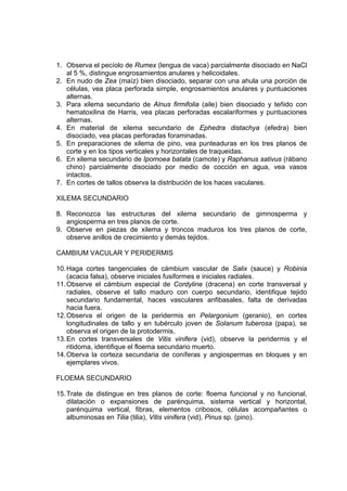 1. Observa el pecíolo de Rumex (lengua de vaca) parcialmente disociado en NaCl
al 5 %, distingue engrosamientos anulares y helicoidales.
2. En nudo de Zea (maíz) bien disociado, separar con una ahula una porción de
células, vea placa perforada simple, engrosamientos anulares y puntuaciones
alternas.
3. Para xilema secundario de Alnus firmifolia (aile) bien disociado y teñido con
hematoxilina de Harris, vea placas perforadas escalariformes y puntuaciones
alternas.
4. En material de xilema secundario de Ephedra distachya (efedra) bien
disociado, vea placas perforadas foraminadas.
5. En preparaciones de xilema de pino, vea punteaduras en los tres planos de
corte y en los tipos verticales y horizontales de traqueidas.
6. En xilema secundario de Ipomoea batata (camote) y Raphanus sativus (rábano
chino) parcialmente disociado por medio de cocción en agua, vea vasos
intactos.
7. En cortes de tallos observa la distribución de los haces vaculares.
XILEMA SECUNDARIO
8. Reconozca las estructuras del xilema secundario de gimnosperma y
angiosperma en tres planos de corte.
9. Observe en piezas de xilema y troncos maduros los tres planos de corte,
observe anillos de crecimiento y demás tejidos.
CAMBIUM VACULAR Y PERIDERMIS
10.Haga cortes tangenciales de cámbium vascular de Salix (sauce) y Robinia
(acacia falsa), observe iniciales fusiformes e iniciales radiales.
11.Observe el cámbium especial de Cordyline (dracena) en corte transversal y
radiales, observe el tallo maduro con cuerpo secundario, identifique tejido
secundario fundamental, haces vasculares anfibasales, falta de derivadas
hacia fuera.
12.Observa el origen de la peridermis en Pelargonium (geranio), en cortes
longitudinales de tallo y en tubérculo joven de Solanum tuberosa (papa), se
observa el origen de la protodermis.
13.En cortes transversales de Vitis vinifera (vid), observe la peridermis y el
ritidoma, identifique el floema secundario muerto.
14.Oberva la corteza secundaria de coníferas y angiospermas en bloques y en
ejemplares vivos.
FLOEMA SECUNDARIO
15.Trate de distingue en tres planos de corte: floema funcional y no funcional,
dilatación o expansiones de parénquima, sistema vertical y horizontal,
parénquima vertical, fibras, elementos cribosos, células acompañantes o
albuminosas en Tilia (tilia), Vitis vinifera (vid), Pinus sp. (pino).
 