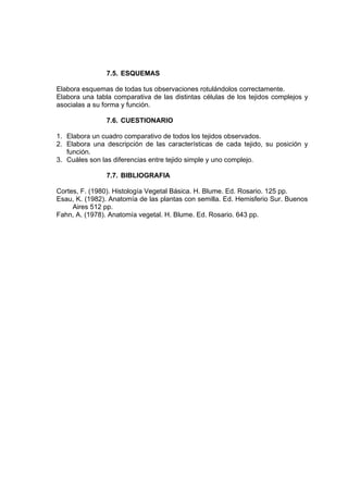 7.5. ESQUEMAS
Elabora esquemas de todas tus observaciones rotulándolos correctamente.
Elabora una tabla comparativa de las distintas células de los tejidos complejos y
asocialas a su forma y función.
7.6. CUESTIONARIO
1. Elabora un cuadro comparativo de todos los tejidos observados.
2. Elabora una descripción de las características de cada tejido, su posición y
función.
3. Cuáles son las diferencias entre tejido simple y uno complejo.
7.7. BIBLIOGRAFIA
Cortes, F. (1980). Histología Vegetal Básica. H. Blume. Ed. Rosario. 125 pp.
Esau, K. (1982). Anatomía de las plantas con semilla. Ed. Hemisferio Sur. Buenos
Aires 512 pp.
Fahn, A. (1978). Anatomía vegetal. H. Blume. Ed. Rosario. 643 pp.
 