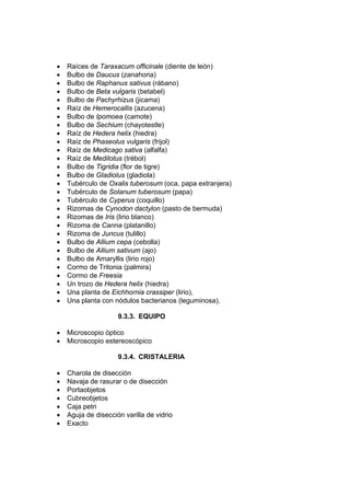 • Raíces de Taraxacum officinale (diente de león)
• Bulbo de Daucus (zanahoria)
• Bulbo de Raphanus sativus (rábano)
• Bulbo de Beta vulgaris (betabel)
• Bulbo de Pachyrhizus (jicama)
• Raíz de Hemerocallis (azucena)
• Bulbo de Ipomoea (camote)
• Bulbo de Sechium (chayotestle)
• Raíz de Hedera helix (hiedra)
• Raíz de Phaseolus vulgaris (frijol)
• Raíz de Medicago sativa (alfalfa)
• Raíz de Medilotus (trébol)
• Bulbo de Tigridia (flor de tigre)
• Bulbo de Gladiolus (gladiola)
• Tubérculo de Oxalis tuberosum (oca, papa extranjera)
• Tubérculo de Solanum tuberosum (papa)
• Tubérculo de Cyperus (coquillo)
• Rizomas de Cynodon dactylon (pasto de bermuda)
• Rizomas de Iris (lirio blanco)
• Rizoma de Canna (platanillo)
• Rizoma de Juncus (tulillo)
• Bulbo de Allium cepa (cebolla)
• Bulbo de Allium sativum (ajo)
• Bulbo de Amaryllis (lirio rojo)
• Cormo de Tritonia (palmira)
• Cormo de Freesia
• Un trozo de Hedera helix (hiedra)
• Una planta de Eichhornia crassiper (lirio),
• Una planta con nódulos bacterianos (leguminosa).
9.3.3. EQUIPO
• Microscopio óptico
• Microscopio estereoscópico
9.3.4. CRISTALERIA
• Charola de disección
• Navaja de rasurar o de disección
• Portaobjetos
• Cubreobjetos
• Caja petri
• Aguja de disección varilla de vidrio
• Exacto
 