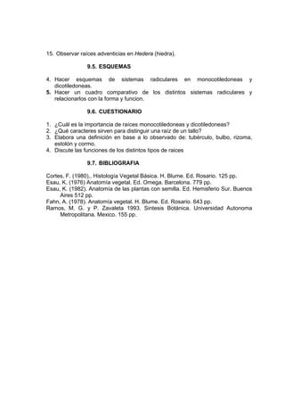 15. Observar raíces adventicias en Hedera (hiedra).
9.5. ESQUEMAS
4. Hacer esquemas de sistemas radiculares en monocotiledoneas y
dicotiledoneas.
5. Hacer un cuadro comparativo de los distintos sistemas radiculares y
relacionarlos con la forma y funcion.
9.6. CUESTIONARIO
1. ¿Cuál es la importancia de raíces monocotiledoneas y dicotiledoneas?
2. ¿Qué caracteres sirven para distinguir una raíz de un tallo?
3. Elabora una definición en base a lo observado de: tubérculo, bulbo, rizoma,
estolón y cormo.
4. Discute las funciones de los distintos tipos de raices
9.7. BIBLIOGRAFIA
Cortes, F. (1980),. Histología Vegetal Básica. H. Blume. Ed. Rosario. 125 pp.
Esau, K. (1976) Anatomía vegetal. Ed. Omega. Barcelona. 779 pp.
Esau, K. (1982). Anatomía de las plantas con semilla. Ed. Hemisferio Sur. Buenos
Aires 512 pp.
Fahn, A. (1978). Anatomía vegetal. H. Blume. Ed. Rosario. 643 pp.
Ramos, M. G. y P. Zavaleta 1993. Sintesis Botánica. Universidad Autonoma
Metropolitana. Mexico. 155 pp.
 