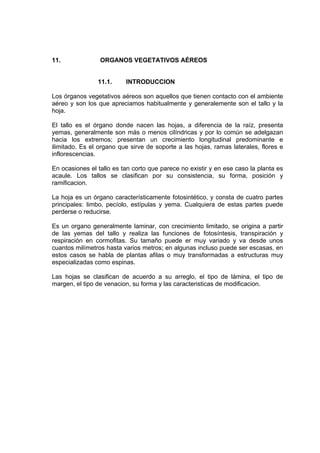11. ORGANOS VEGETATIVOS AÉREOS
11.1. INTRODUCCION
Los órganos vegetativos aéreos son aquellos que tienen contacto con el ambiente
aéreo y son los que apreciamos habitualmente y generalemente son el tallo y la
hoja.
El tallo es el órgano donde nacen las hojas, a diferencia de la raíz, presenta
yemas, generalmente son más o menos cilíndricas y por lo común se adelgazan
hacia los extremos; presentan un crecimiento longitudinal predominante e
ilimitado. Es el organo que sirve de soporte a las hojas, ramas laterales, flores e
inflorescencias.
En ocasiones el tallo es tan corto que parece no existir y en ese caso la planta es
acaule. Los tallos se clasifican por su consistencia, su forma, posición y
ramificacion.
La hoja es un órgano característicamente fotosintético, y consta de cuatro partes
principales: limbo, pecíolo, estípulas y yema. Cualquiera de estas partes puede
perderse o reducirse.
Es un organo generalmente laminar, con crecimiento limitado, se origina a partir
de las yemas del tallo y realiza las funciones de fotosíntesis, transpiración y
respiración en cormofitas. Su tamaño puede er muy variado y va desde unos
cuantos milímetros hasta varios metros; en algunas incluso puede ser escasas, en
estos casos se habla de plantas afilas o muy transformadas a estructuras muy
especializadas como espinas.
Las hojas se clasifican de acuerdo a su arreglo, el tipo de lámina, el tipo de
margen, el tipo de venacion, su forma y las caracteristicas de modificacion.
 