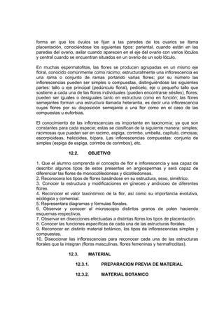forma en que los óvulos se fijan a las paredes de los ovarios se llama
placentación, conociéndose los siguientes tipos: pariental, cuando están en las
paredes del ovario, axilar cuando aparecen en el eje del ovario con varios lóculos
y central cuando se encuentran situados en un ovario de un solo lóculo.
En muchas espermatofitas, las flores se producen agrupadas en un mismo eje
floral, conocido comúnmente como racimo; estructuralmente una inflorescencia es
una rama o conjunto de ramas portando varias flores; por su número las
inflorescencias pueden ser simples o compuestas, distinguiéndose las siguientes
partes: tallo o eje principal (pedúnculo floral), pedicelo; eje o pequeño tallo que
sostiene a cada una de las flores individuales (pueden encontrarse sésiles), flores;
pueden ser iguales o desiguales tanto en estructura como en función; las flores
semejantes forman una estructura llamada heterantia, es decir una inflorescencia
cuyas flores por su disposición semejante a una flor como en el caso de las
compuestas u euforbias.
El conocimiento de las inflorescencias es importante en taxonomía; ya que son
constantes para cada especie; estas se clasifican de la siguiente manera: simples;
racimosas que pueden ser en racimo, espiga, corimbo, umbella, capítulo, cimosas;
escorpioideas, helicoidea, bípara. Las inflorescencias compuestas: conjunto de
simples (espiga de espiga, corimbo de corimbos), etc.
12.2. OBJETIVO
1. Que el alumno comprenda el concepto de flor e inflorescencia y sea capaz de
describir algunos tipos de estos presentes en angiospermas y será capaz de
diferenciar las flores de monocotiledoneas y dicotiledoneas.
2. Reconocera los tipos de flores basándose en su estructura, sexo, simétrico.
3. Conocer la estructura y modificaciones en gineceo y androceo de diferentes
flores.
4. Reconocer el valor taxonómico de la flor, así como su importancia evolutiva,
ecológica y comercial.
5. Representara diagramas y fórmulas florales.
6. Observar y conocer al microscopio distintos granos de polen haciendo
esquemas respectivos.
7. Observar en disecciones efectuadas a distintas flores los tipos de placentación.
8. Conocer las funciones específicas de cada una de las estructuras florales.
9. Reconocer en distinto material botánico, los tipos de inflorescencias simples y
compuestas.
10. Diseccionar las inflorescencias para reconocer cada una de las estructuras
florales que la integran (flores masculinas, flores femeninas y hermafroditas).
12.3. MATERIAL
12.3.1. PREPARACION PREVIA DE MATERIAL
12.3.2. MATERIAL BOTANICO
 