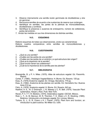 3. Observe internamente una semilla recién germinada de dicotiledónea y otra
sin germinar.
4. Reconozca semillas de acuerdo a las sustancias de reserva que contengan.
5. Identifique en semillas, las partes de la plántula de monocotiledóneas,
dicotiledóneas y coníferas.
6. Identifique la presencia o ausencia de endospermo, número de cotiledones,
partes del embrión.
7. Anotar las medidas en sus tres dimensiones de distintas semillas.
14.5. ESQUEMAS
Elabore esquemas de todas sus observaciones, anote sus características
Elabore cuadros comparativos entre semillas de monocotiledoneas y
dicotiledoneas.
14.6. CUESTIONARIO
1. ¿Qué es una semilla?
2. ¿Cuáles son las partes de una semilla?
3. ¿Cuáles son las partes de un embrión y a qué estructura dan origen?
4. ¿Qué es la dispersión de la semilla?
5. ¿Qué función tienen los cotiledones?
6. ¿Cuál es la importancia de la semilla para las plantas?
14.7. BIBLIOGRAFIA
Bracegirdle, B. y P. h. Miles. (1975). Atlas de estructura vegetal. Ed. Paraninfo.
Madrid.
Cortes, F. (1980),. Histología Vegetal Básica. H. Blume. Ed. Rosario. 125 pp.
Esau, K. (1976) Anatomía vegetal. Ed. Omega. Barcelona. 779 pp.
Esau, K. (1982). Anatomía de las plantas con semilla. Ed. Hemisferio Sur. Buenos
Aires 512 pp.
Fahn, A. (1978). Anatomía vegetal. H. Blume. Ed. Rosario. 643 pp.
Radford, A. E., W. C Dickinson, J. R. Massey y C. R. Bell. (1974). Vascular Plant
systematics. Harper y Row. Publ. New York.
Raven, P. h. Y T. R. Martens. (1974). Sistemática vegetal. CECSA. México.
Rost, L. T., G. M. Barvour, M. R. Thornton, T. E. Weier y C. R. Stocking. (1985).
Botánica. Introducción a la biología vegetal. Ed. Limusa, México.
Tortora, G. J., D. R. Cicero y H. I. Parish. (1970). Plant form and function, an
introduction to plant science. Mc Millan Co. USA.
 