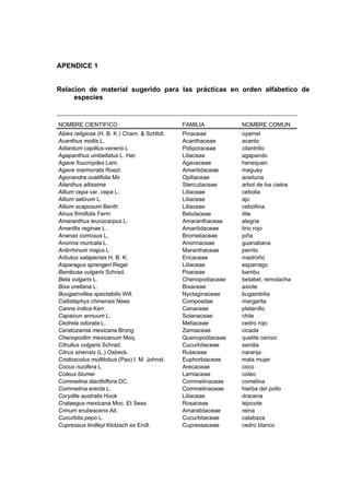 APENDICE 1
Relacion de material sugerido para las prácticas en orden alfabetico de
especies
NOMBRE CIENTIFICO FAMILIA NOMBRE COMUN
Abies religiosa (H. B. K.) Cham. & Schltdl. Pinaceae oyamel
Acanthus mollis L. Acanthaceae acanto
Adiantum capillus-veneris L Poliporaceae cilantrillo
Agapanthus umbellatus L. Her. Liliaceae agapando
Agave foucroydes Lam. Agavaceae henequen
Agave marmorata Roezl. Amarilidaceae maguey
Agonandra ovatifolia Mir. Opiliaceae aceituna
Ailanthus altissima Sterculiaceae arbol de los cielos
Allium cepa var. cepa L. Liliaceae cebolla
Allium sativum L. Liliaceae ajo
Allium scaposum Benth Liliaceae cebollina
Alnus firmifolia Ferm Betulaceae ilite
Amaranthus leucocarpus L. Amaranthaceae alegria
Amarillis reginae L. Amarilidaceae lirio rojo
Ananas comosus L. Bromeliaceae piña
Anonna muricata L. Anonnaceae guanabana
Antirrhinum majus L Maranthaceae perrito
Arbutus xalapensis H. B. K. Ericaceae madroño
Asparagus sprengeri Regel Liliaceae esparrago
Bambusa vulgaris Schrad. Poaceae bambu
Beta vulgaris L. Chenopodiaceae betabel, remolacha
Bixa orellana L. Bixaceae axiote
Bougainvillea spectabilis Will. Nyctaginaceae bugambilia
Callistephys chinensis Nees Compositae margarita
Canna indica Kerr. Canaceae platanillo
Capsicun annuum L. Solanaceae chile
Cedrela odorata L. Meliaceae cedro rojo
Ceratozamia mexicana Brong Zamiaceae cicada
Chenopodim mexicanum Moq. Quenopodiaceae quelite cenizo
Citrullus vulgaris Schrad. Cucurbitaceae sandia
Citrus sinensis (L.) Osbeck. Rutaceae naranja
Cnidoscolus multilobus (Pax) I. M. Johnst. Euphorbiaceae mala mujer
Cocus nucifera L Arecaceae coco
Coleus blumei Lamiaceae coleo
Commelina dianthiflora DC. Commelinaceae comelina
Commelina erecta L. Commelinaceae hierba del pollo
Corydile australis Hook Liliaceae dracena
Crataegus mexicana Moc. Et Sess. Rosaceae tejocote
Crinum erubescens Ait. Amaralidaceae reina
Cucurbita pepo L. Cucurbitaceae calabaza
Cupressus lindleyi Klotzsch ex Endl. Cupressaceae cedro blanco
 