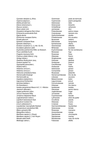Cynodon dactylon (L.)Pers. Gramineae pasto de bermuda
Cyperus papyrus L. Cyperaceae papiro paraguitas
Dahlia pinnata Cav. Asteraceae dalia
Datura stramonium L. Solanaceae toloache
Daucus carota L. Umbeliferae zahanoria
Dioon edule Lind. zamiaceae dion
Dryopteris tetragona (Sw) Urban Polipodiaceae palma crespa
Echeverria pulverulenta Nutt. Crasulaceae siempre viva
Egeria densa Hydrocharitaceae elodea
Eichhornia crassipes Solms. Pntederiaceae lirio acuatico
Ensete glaucum Musaceae platano
Ephedra compacta Rose Efecraceae sanguinaria
Ephedra distachya L. Ephedraceae efedra
Erodium cicutarium (L.) L.Her. Ex Ait. Geraniaceae alfilerillo
Eucaliptus globulus Labill. Mirtaceae eucalipto
Euphorbia pulcherrima Willd. ex Klotzsch. Euphorbiaceae flor de nochebuena
Ficus cotinifolia Kunth Moraceae higo
Fragaria mexicana Schl. Rosaceae fresa
Fraxinus uhdeii (Wenz). Ling Oleaceae fresno
Ginkgo biloba L. Gingkoaceae gingko
Gladiolus floribundum Jacq. Iridaceae gladiola
Gnetum leybolii Tul. Gnetaceae gnetum
Gypsophila paniculata L. Cariofilaceae nube
Hedera helix L. Araliaceae hiedra
Heliantus annuus L. Asteraceae girasol
Heliantus annuus L. Compositae girasol
Heliconia schiedeana Klotz Musaceae platanillo
Hemerocallis thubergii Hemerocarridaceae lirio de dia
Hermerocallis sp. Liliaceae azucena
Impatiens balsamina L. Balsaminaceae belen
Inga jinicuil Schlechter Leguminosae jinicuil
Ipomoea batatas L. Convolvulaceae camote
Iris florentiana L. Iridaceae lirio blanco
Isoetes panamensis Maxon & C. V. >Morton Isoetaceae isoetes
Jasmium officinale L. Oleraceae jazmin blanco
Juglas pyriformis Liebm. Juglandaceae nogal
Juncus mexicana Wills. Juncaceae tulillo
Juniperus deppeana Steud Cupressaceae tascate
Lagerstroemam indica L. Lythraceae arbol de jupiter
Lepidium lasiocarpum Nutt. Cruciferae pasote
Ligustrum lucidum Ait. Oleaceae trueno
Linum usitasissium L. Linaecae linaza
Liquidambar macrophylla Oestred Hammamelidaceae liquidambar
Lycopersicum esculentum Mill. Solanaceae tomate
Malus sylvestris Mill. Rosaceae manzana
Manguifera indica L. Anacardiaceae mango
Manilkara zapota (L.) Royen Sapotaceae chicozapote
Manilkara zapota (L.) Van Royen Sapotaceae mamey
Maratia alata Swith. Maratiaceae maiz de monte
Medicago sativa L. Fabaceae alfalfa
 