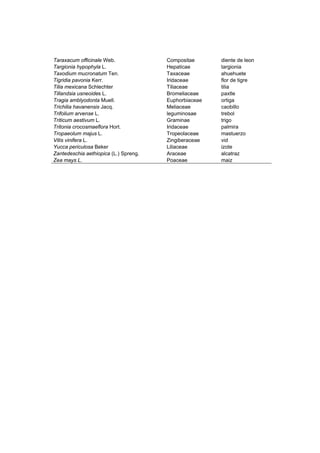 Taraxacum officinale Web. Compositae diente de leon
Targionia hypophyla L. Hepaticae targionia
Taxodium mucronatum Ten. Taxaceae ahuehuete
Tigridia pavonia Kerr. Iridaceae flor de tigre
Tilia mexicana Schlechter Tiliaceae tilia
Tillandsia usneoides L. Bromeliaceae paxtle
Tragia amblyodonta Muell. Euphorbiaceae ortiga
Trichilia havanensis Jacq. Meliaceae caobillo
Trifolium arvense L. leguminosae trebol
Triticum aestivum L. Graminae trigo
Tritonia crocosmaeflora Hort. Iridaceae palmira
Tropaeolum majus L. Tropeolaceae mastuerzo
Vitis vinifera L. Zingiberaceae vid
Yucca periculosa Beker Liliaceae izote
Zantedeschia aethiopica (L.) Spreng. Araceae alcatraz
Zea mays L. Poaceae maiz
 
