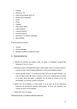 • Probetas
• Pipetas de 1 mL
• Vasos de precipitación de 50 mL
• Cámara de Cromatografía
• Estufa
• Pinzas
• n-Butanol
• Acido acético glacial
• L-lisina (5mg/mL)
• L-leucina (5mg/mL)
• L-tirosina (5mg/mL)
• Ninhidrina al 1% (solución alcohólica)
• Agua destilada
Proporcionados por el alumno
• Guantes
• Cámara fotográfica
• Bandejas de plástico y Aspersor de agua
IV. PROCEDIMIENTOS
• Después de colocarse los guantes, cortar con tijeras, un rectángulo de papel filtro
Whatman Nº 1 de 10 x 14 cm.
• Sumergir en agua e inmediatamente pasar a ácido acético 1N por 10 minutos; escurrir y
sumergir en agua. Sacar el papel rápidamente y secarlo entre papeles secantes.
• Usando guantes, trazar a 1,5 cm del borde inferior de la tira de papel Whatman, una
línea con lápiz y sobre ella marcar 4 puntos a 2,4,6 y 8 cm, evitando poner los dedos
en la parte central del papel, y señalarlos con las letras M (mezcla de los tres
aminoácidos), Le (Leucina), L(lisina) y T(tirosina).
• Aplicar con una micropipeta o un tubo capilar, 3 µL de cada una de las respectivas
soluciones de aminoácidos descritos anteriormente, de forma que aparezcan una
mancha de unos 5 mm de diámetro.
• Secar a 50 ºC por 10 minutos.
PREPARACION DE LA CAMARA CROMATOGRAFICA
53
 