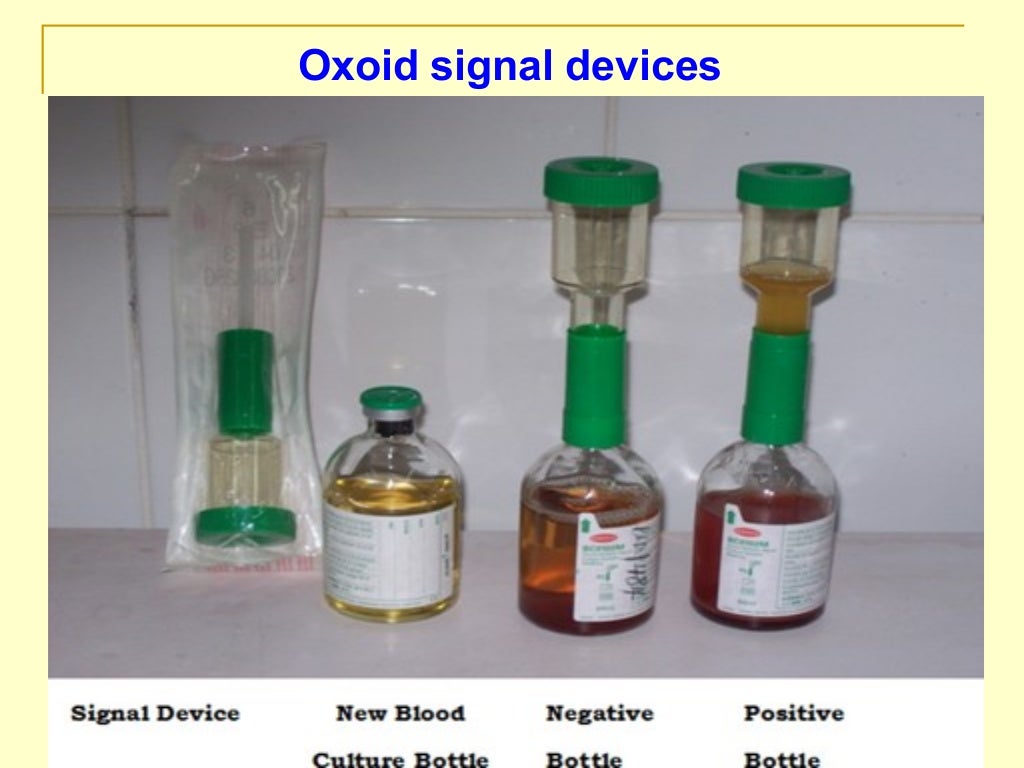 Manual blood culture Techniques