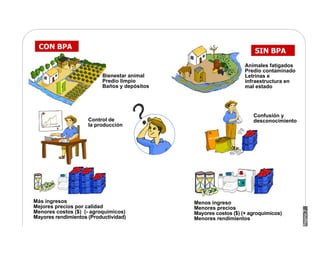 Pagina
Bienestar animal
Predio limpio
Baños y depósitos
Animales fatigados
Predio contaminado
Letrinas e
infraestructura en
mal estado
CON BPA
SIN BPA
7
Más ingresos
Mejores precios por calidad
Menores costos ($) (- agroquímicos)
Mayores rendimientos (Productividad)
Menos ingreso
Menores precios
Mayores costos ($) (+ agroquímicos)
Menores rendimientos
Confusión y
desconocimientoControl de
la producción
 