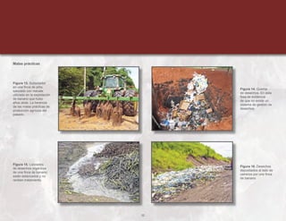 32
Figura 13. Subsolador
en una finca de piña,
saturado con mecate
utilizado en la explotación
de banano que hubo
años atrás. La herencia
de las malas prácticas de
producción agrícola del
pasado.
Figura 15. Lixiviados
de desechos orgánicos
de una finca de banano;
están estancados y no
reciben tratamiento.
Figura 14. Quema
de desechos. En esta
fosa se evidencia
de que no existe un
sistema de gestión de
desechos.
Figura 16. Desechos
depositados al lado de
caminos por una finca
de banano.
Malas prácticas
 