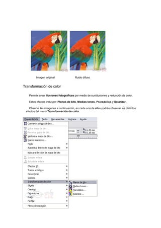 Transformación de color
Permite crear ilusiones fotográficas por medio de sustituciones y reducción de color.
Estos efectos incluyen: Planos de bits, Medios tonos, Psicodélico y Solarizar.
Observa las imágenes a continuación, en cada una de ellas podrás observar los distintos
efectos del menú Transformación de color.
Imagen original Ruido difuso
 