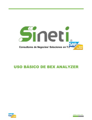 www.sineti.com 
Consultores de Negocios/ Soluciones en T.I. 
USO BÁSICO DE BEX ANALYZER 
 