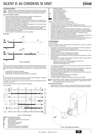 Manual Caldera De Gasoil Ferroli Silent D Condens 30 Si Unit PDF