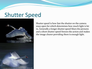 Shutter Speed
Shutter speed is how fast the shutter on the camera
stays open for which determines how much light is let
in, Generally a longer shutter speed blurs the pictures
and a short shutter speed freezes the action and makes
the image clearer providing there is enough light.
 