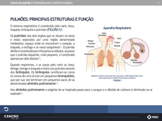Cancrodopulmão|Orientaçõesparaodoenteoncológico 3
PULMÕES:PRINCIPAISESTRUTURASE FUNÇÃO
O sistema respiratório é constituído pelo nariz, boca,
traqueia,brônquiosepulmões (FIGURA1)1
,
2
.
Os pulmões são dois órgãos que se situam no tórax
e estão separados por uma região denominada
mediastino, espaço onde se encontram o coração, a
traqueia,o esófago eos vasos sanguíneos1,2.Opulmão
direitoéconstituídoportrêspartesoulóbulos,aopasso
que o pulmão esquerdo, mais pequeno, é constituído
apenaspordoislóbulos1,2.
Quando respiramos, o ar passa pelo nariz ou boca,
faringe,laringeetraqueiaeentranospulmõesatravés
dos brônquios. Os brônquios ramificam-se como
os ramos de uma árvoreem pequenos bronquíolos,
que por sua vez terminam em pequenos sacos de ar
,
denominadosalvéolospulmonares1,2.
Nos alvéolos pulmonares o oxigénio do ar inspirado passa para o sangue e o dióxido de carbono é eliminado no ar
expirado1,2.
Adaptado de Whatis Non-Small-CellLungCancer. ESMO PatientGuide Series.
InformationBased onESMO ClinicalPraticeGuidelines.
FIGURA1
F
aringe
Nariz
Língua
T
raqueia
Alvéolos
Bronquíolos
Bronquíolos
Pulmões
Brônquios
AparelhoRespiratório
Seios
etmoidais
 