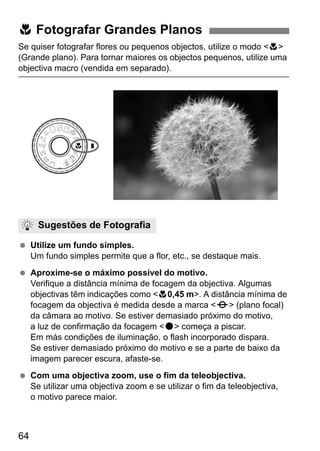 64
Se quiser fotografar flores ou pequenos objectos, utilize o modo <4>
(Grande plano). Para tornar maiores os objectos pequenos, utilize uma
objectiva macro (vendida em separado).
Utilize um fundo simples.
Um fundo simples permite que a flor, etc., se destaque mais.
Aproxime-se o máximo possível do motivo.
Verifique a distância mínima de focagem da objectiva. Algumas
objectivas têm indicações como <40,45 m>. A distância mínima de
focagem da objectiva é medida desde a marca <V> (plano focal)
da câmara ao motivo. Se estiver demasiado próximo do motivo,
a luz de confirmação da focagem <o> começa a piscar.
Em más condições de iluminação, o flash incorporado dispara.
Se estiver demasiado próximo do motivo e se a parte de baixo da
imagem parecer escura, afaste-se.
Com uma objectiva zoom, use o fim da teleobjectiva.
Se utilizar uma objectiva zoom e se utilizar o fim da teleobjectiva,
o motivo parece maior.
4 Fotografar Grandes Planos
Sugestões de Fotografia
 