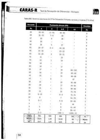 Manual caras r-0001 | PDF