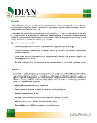 Manualcarga dian | PDF
