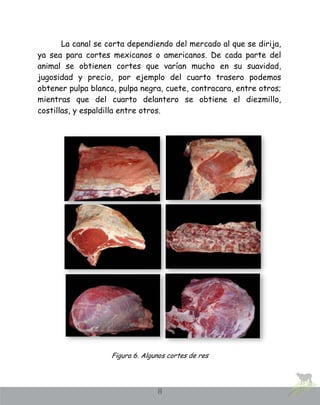 Guía de los diferentes tipos de carnes de vacuno