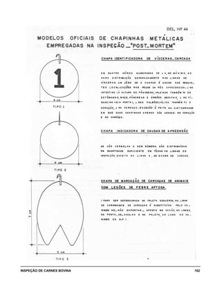 INSPEÇÃO DE CARNES BOVINA 	 162
 