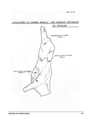 INSPEÇÃO DE CARNES BOVINA 	 164
 