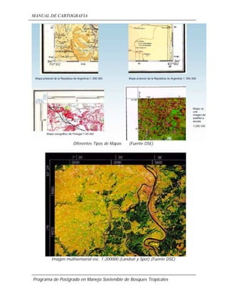 MANUAL DE CARTOGRAFIA
Programa de Postgrado en Manejo Sostenible de Bosques Tropicales
Diferentes Tipos de Mapas (Fuente DSE)
Imagen multisensorial esc. 1:200000 (Landsat y Spot) (Fuente DSE)
 