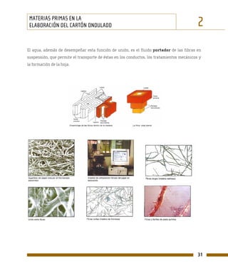 MATERIAS PRIMAS EN LA
 ELABORACIÓN DEL CARTÓN ONDULADO                                                           2
El agua, además de desempeñar esta función de unión, es el fluido portador de las fibras en
suspensión, que permite el transporte de éstas en los conductos, los tratamientos mecánicos y
la formación de la hoja.




                                                                                           31
 