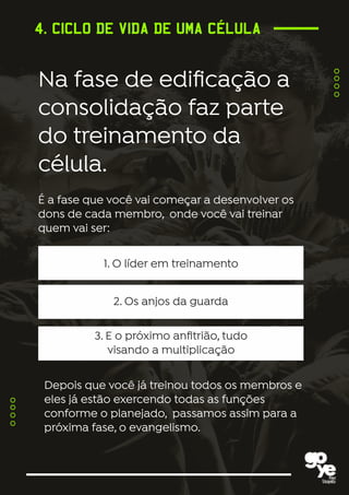 manual_celula_goye.pdf