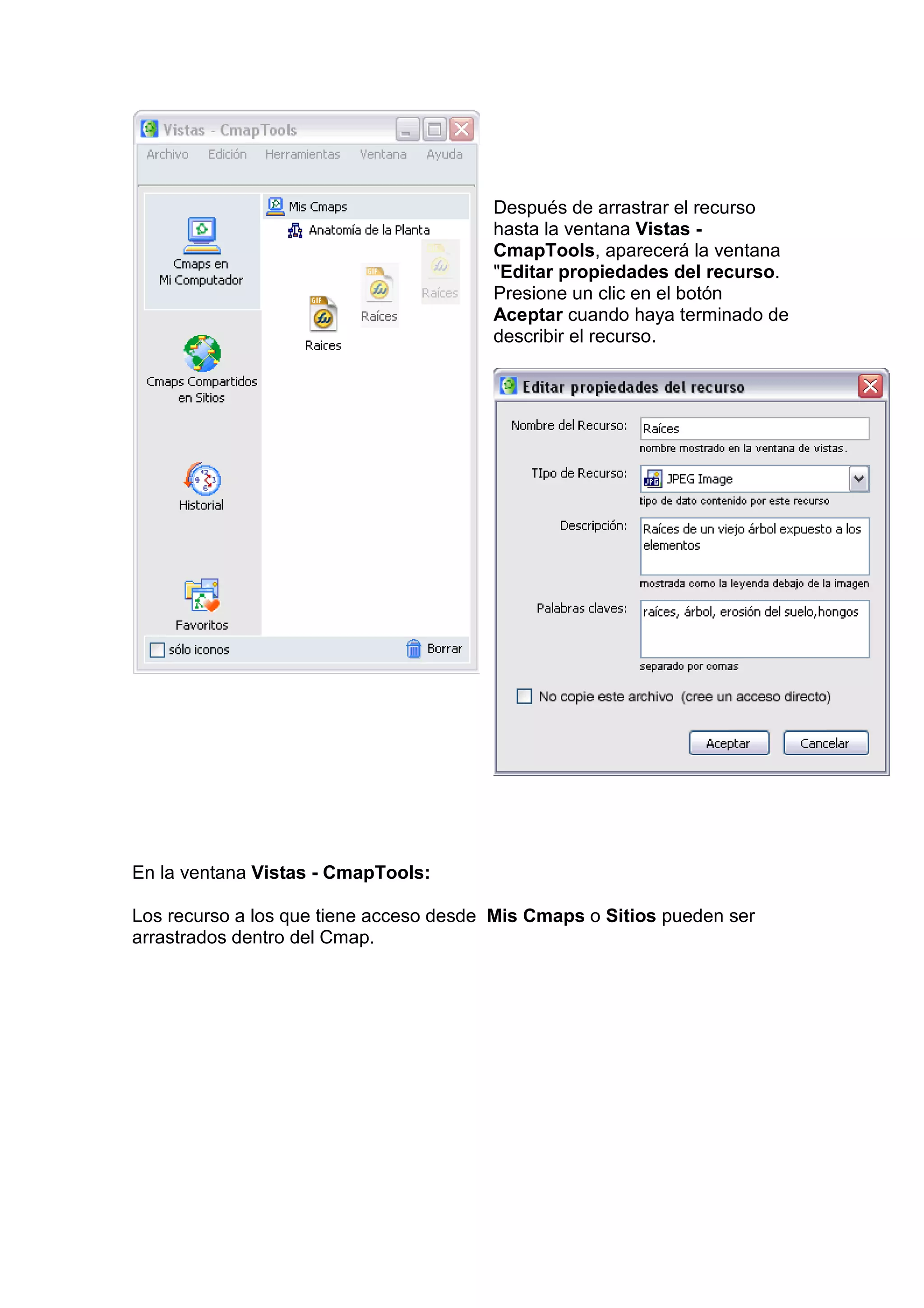 Después de arrastrar el recurso
                                        hasta la ventana Vistas -
                                        CmapTools, aparecerá la ventana
                                        "Editar propiedades del recurso.
                                        Presione un clic en el botón
                                        Aceptar cuando haya terminado de
                                        describir el recurso.




En la ventana Vistas - CmapTools:

Los recurso a los que tiene acceso desde Mis Cmaps o Sitios pueden ser
arrastrados dentro del Cmap.
 