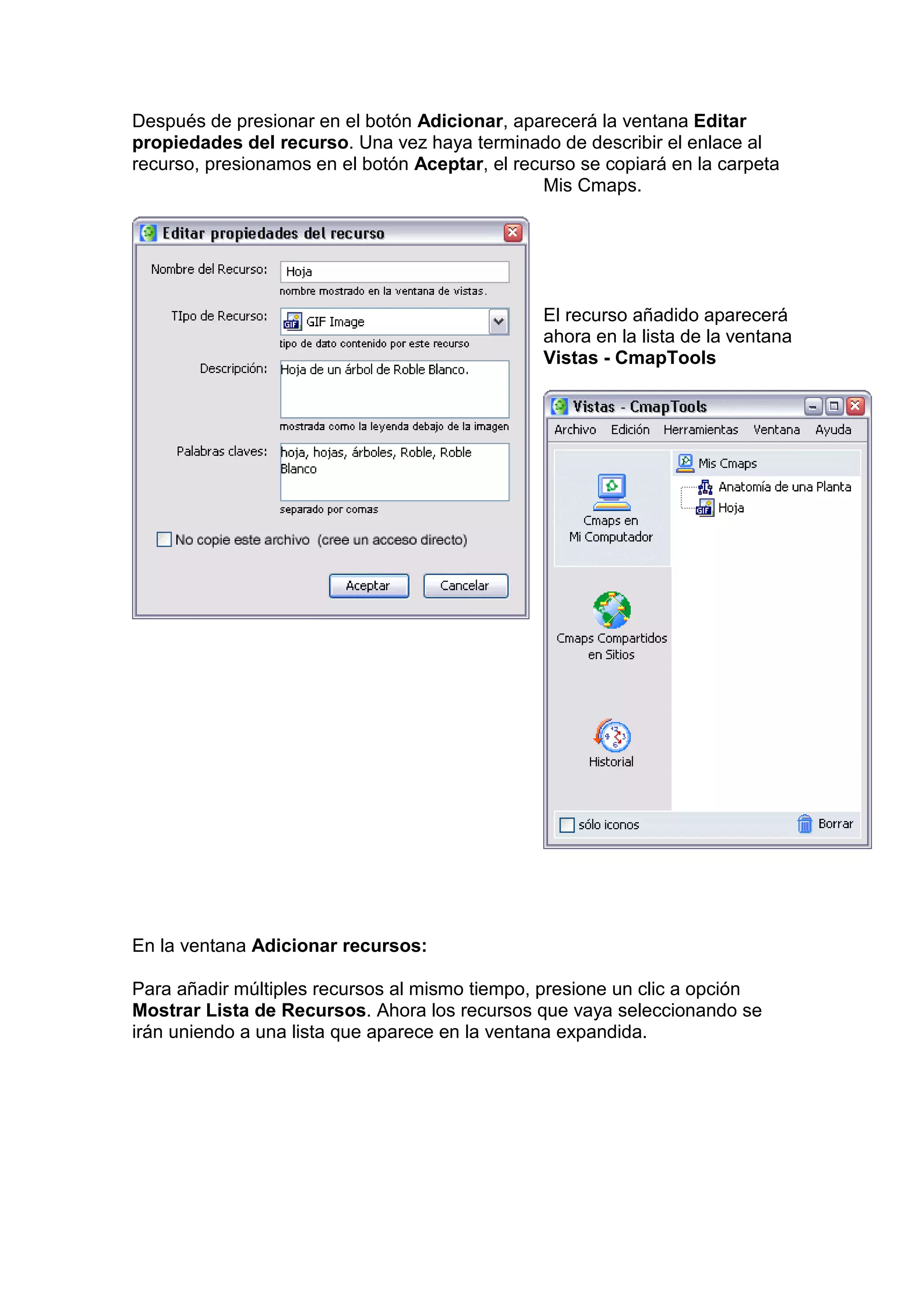 Después de presionar en el botón Adicionar, aparecerá la ventana Editar
propiedades del recurso. Una vez haya terminado de describir el enlace al
recurso, presionamos en el botón Aceptar, el recurso se copiará en la carpeta
                                                Mis Cmaps.




                                                El recurso añadido aparecerá
                                                ahora en la lista de la ventana
                                                Vistas - CmapTools




En la ventana Adicionar recursos:

Para añadir múltiples recursos al mismo tiempo, presione un clic a opción
Mostrar Lista de Recursos. Ahora los recursos que vaya seleccionando se
irán uniendo a una lista que aparece en la ventana expandida.
 