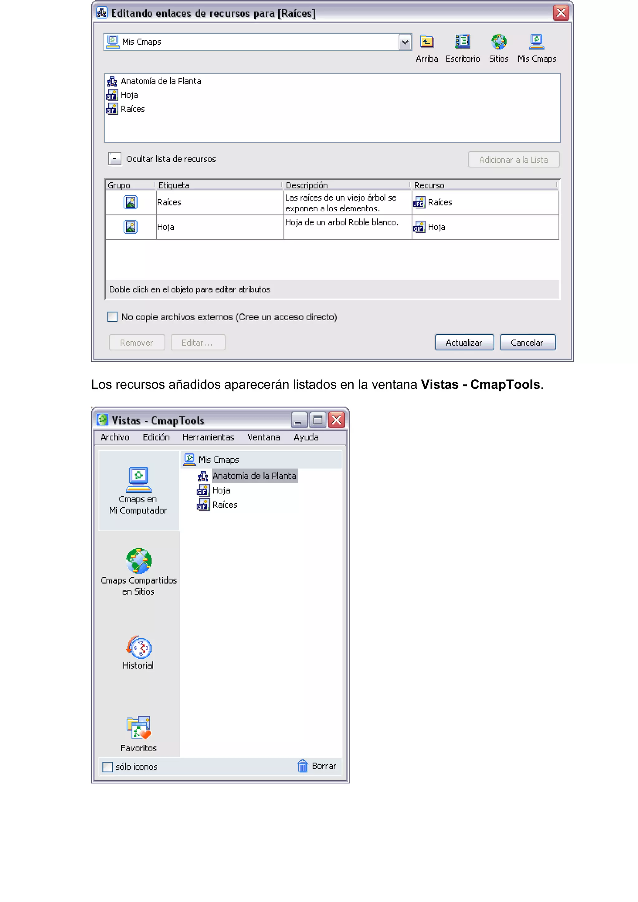 Los recursos añadidos aparecerán listados en la ventana Vistas - CmapTools.
 