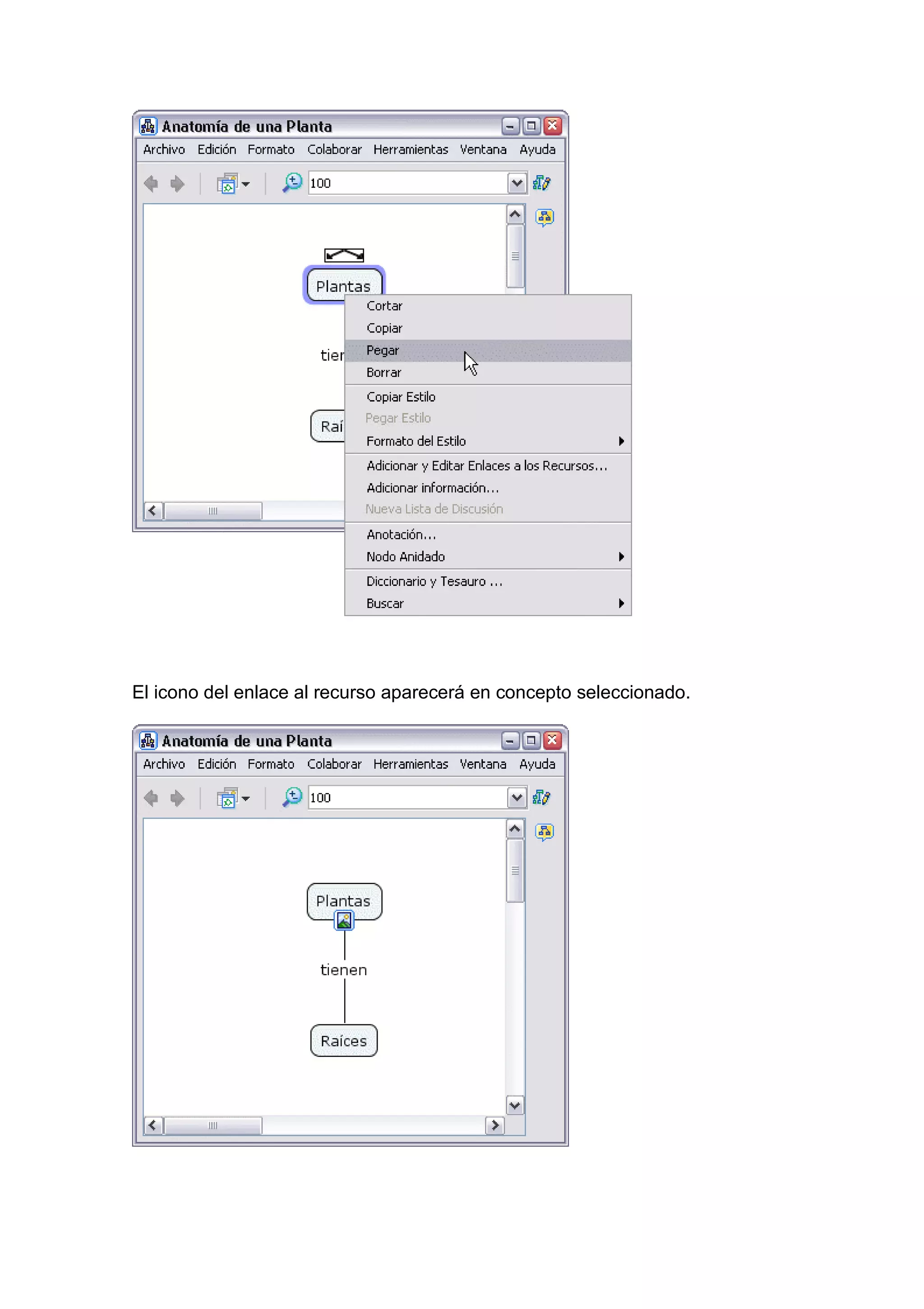 El icono del enlace al recurso aparecerá en concepto seleccionado.
 