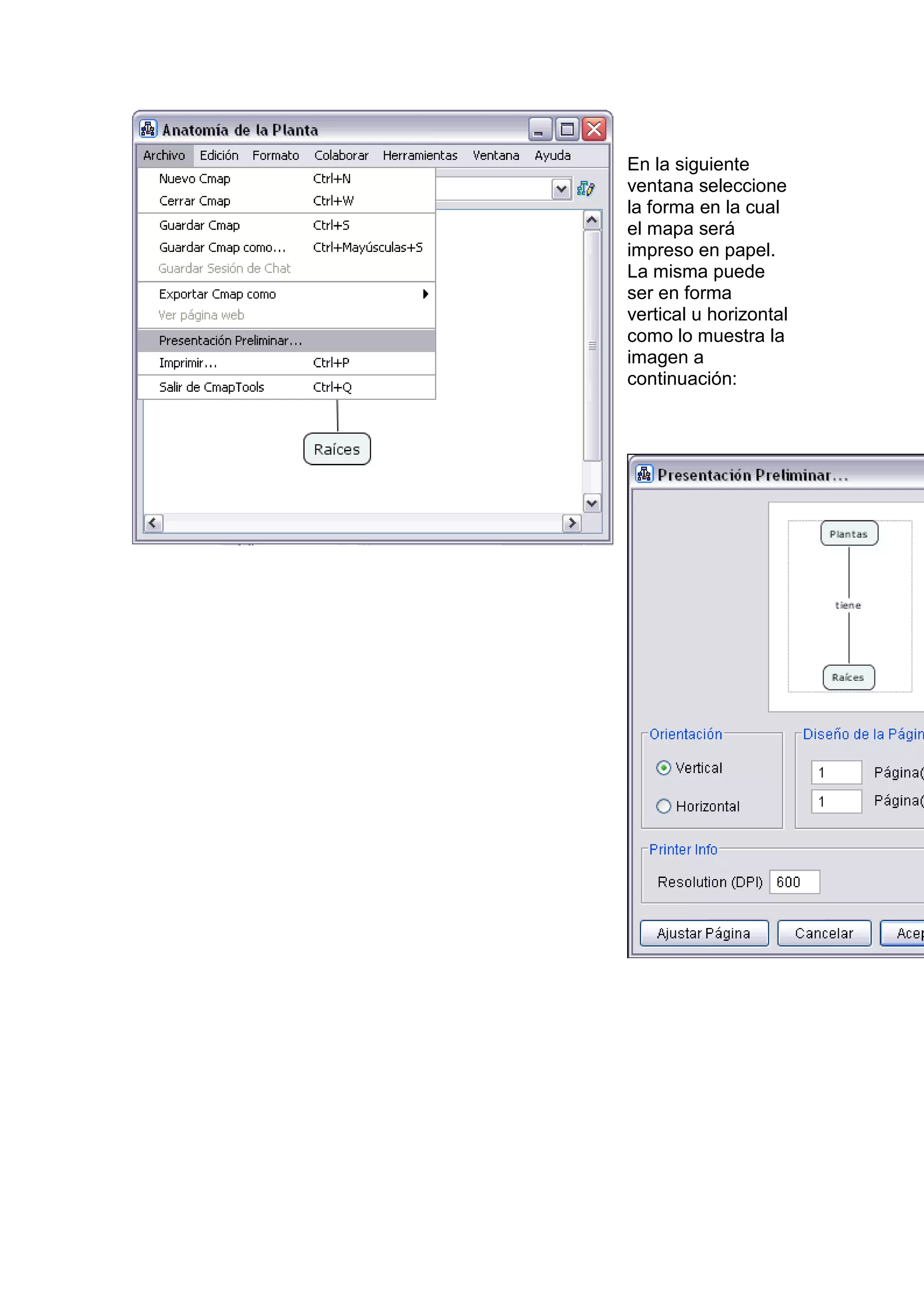 En la siguiente
ventana seleccione
la forma en la cual
el mapa será
impreso en papel.
La misma puede
ser en forma
vertical u horizontal
como lo muestra la
imagen a
continuación:
 