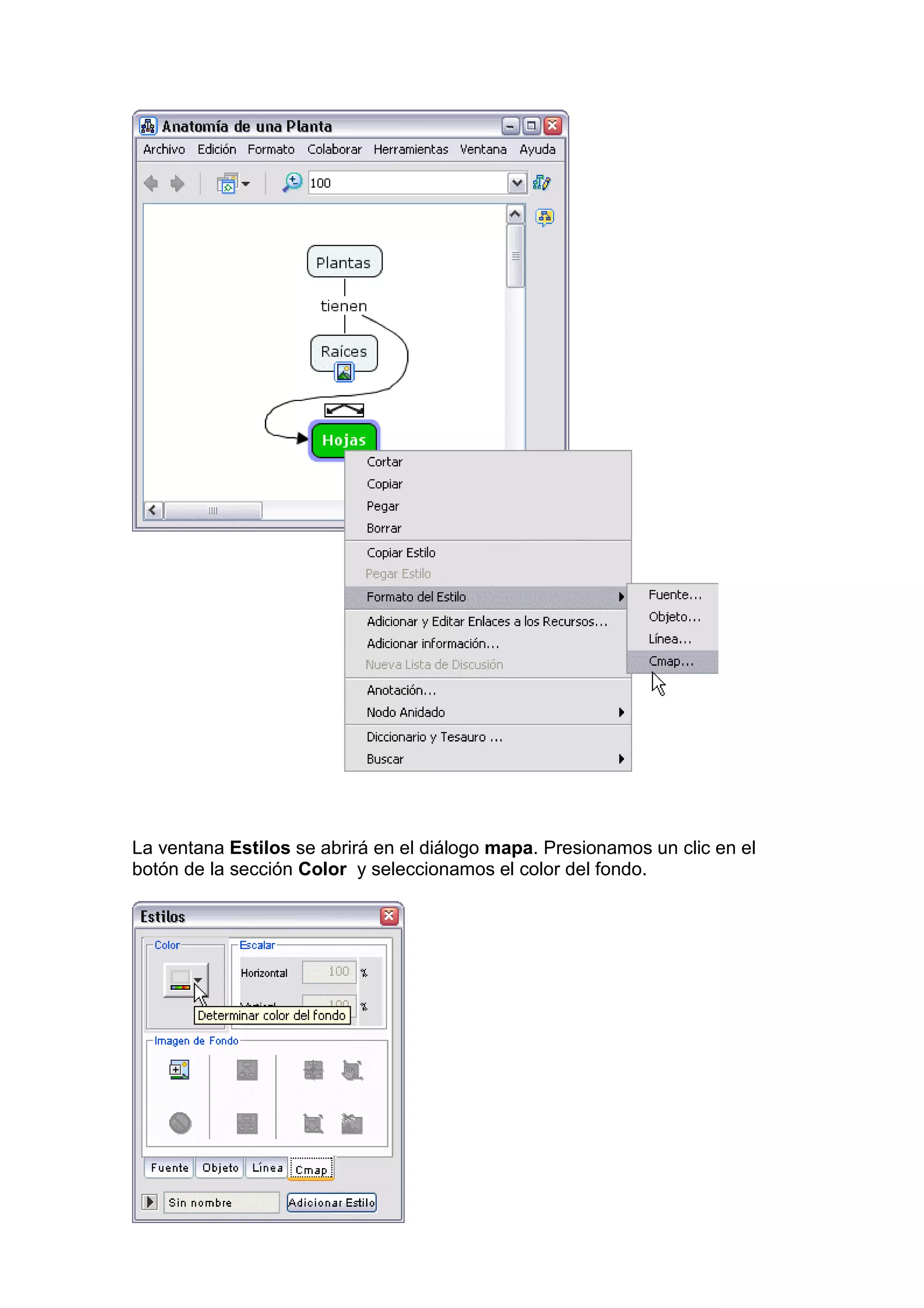 La ventana Estilos se abrirá en el diálogo mapa. Presionamos un clic en el
botón de la sección Color y seleccionamos el color del fondo.
 