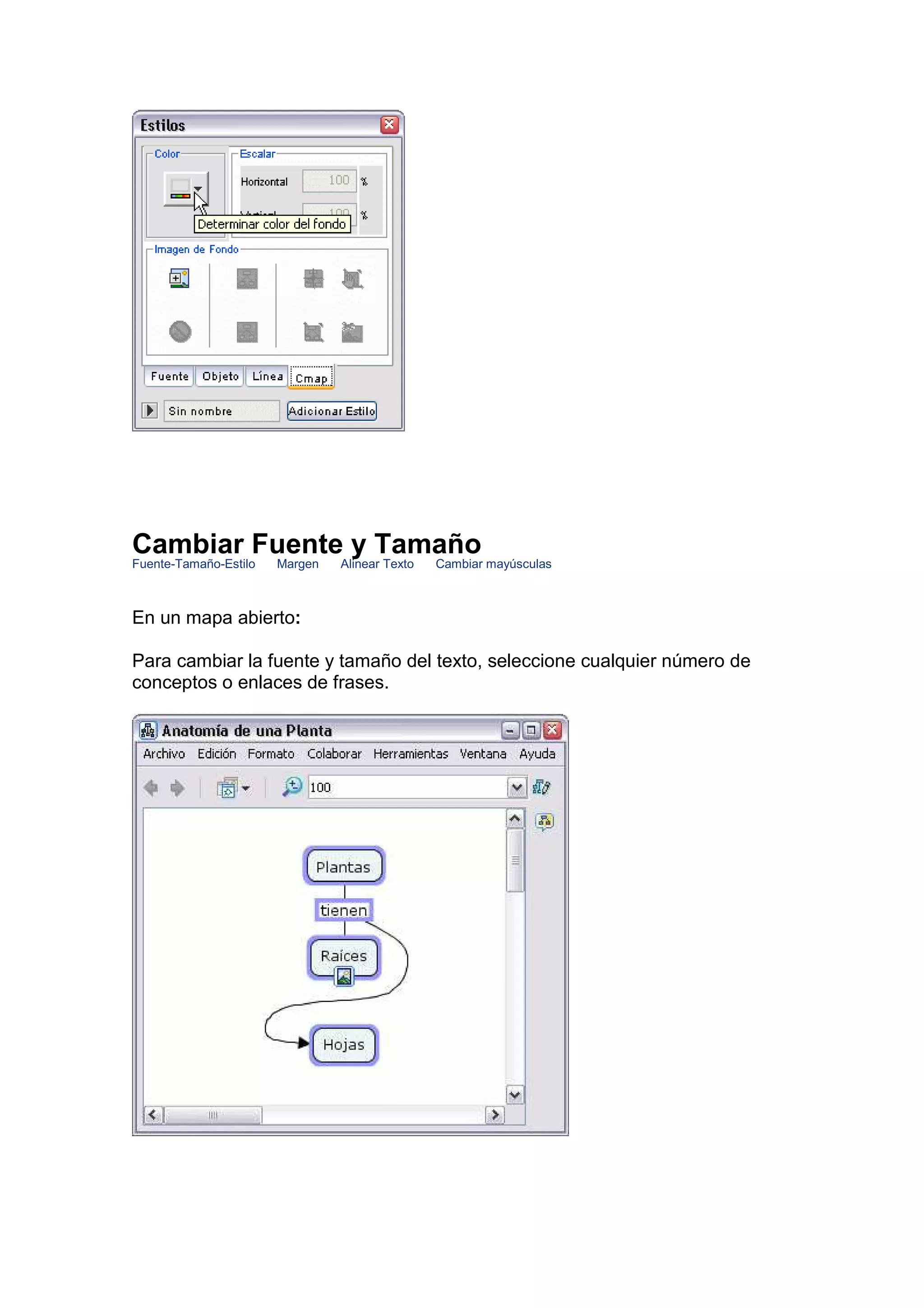 Cambiar Fuente y Tamaño
Fuente-Tamaño-Estilo   Margen   Alinear Texto   Cambiar mayúsculas



En un mapa abierto:

Para cambiar la fuente y tamaño del texto, seleccione cualquier número de
conceptos o enlaces de frases.
 