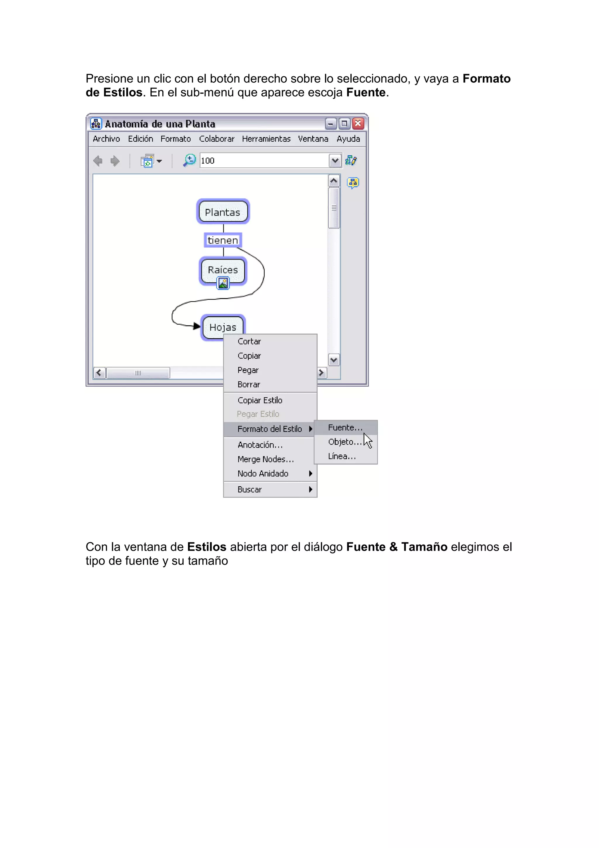 Presione un clic con el botón derecho sobre lo seleccionado, y vaya a Formato
de Estilos. En el sub-menú que aparece escoja Fuente.




Con la ventana de Estilos abierta por el diálogo Fuente & Tamaño elegimos el
tipo de fuente y su tamaño
 