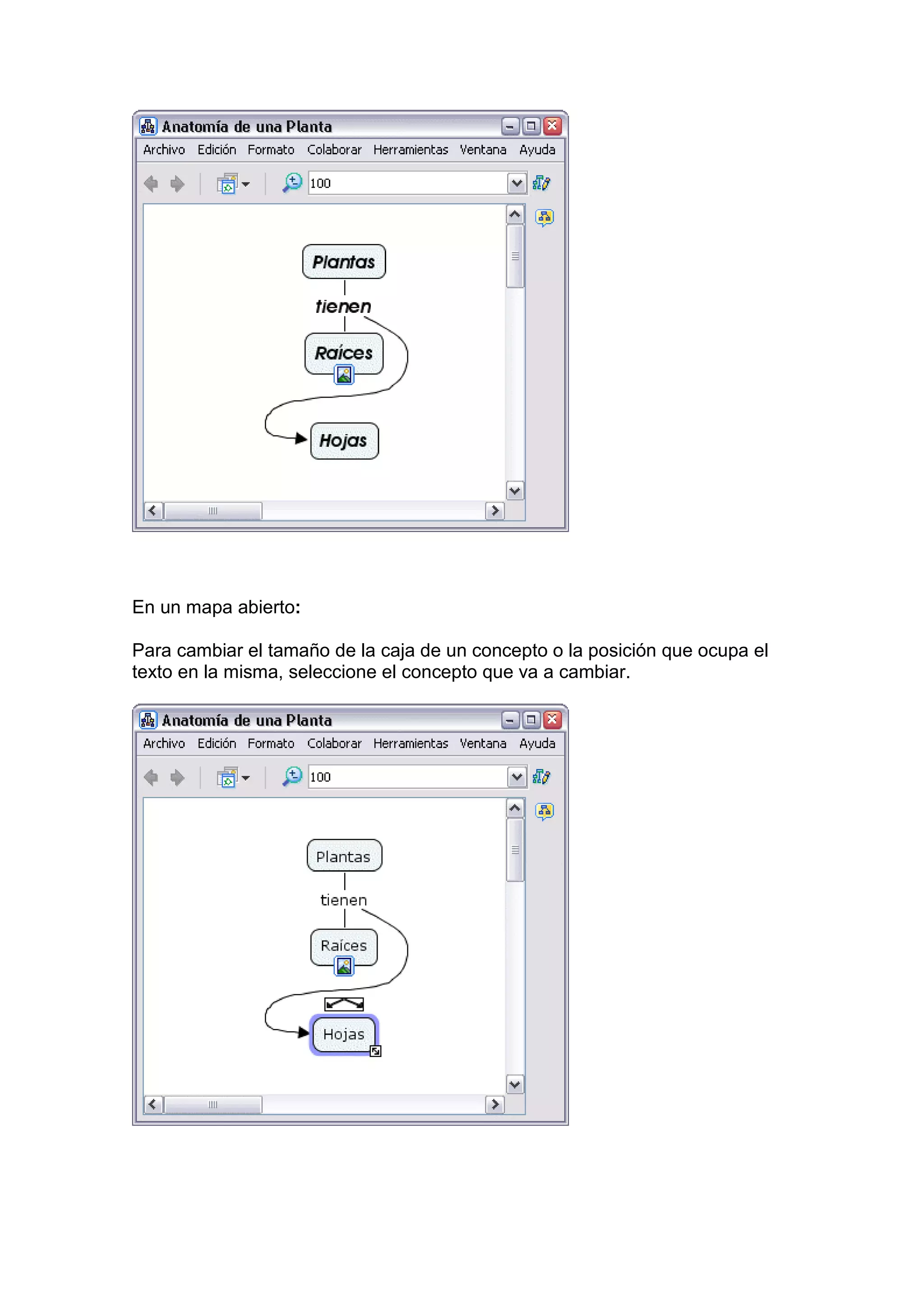 En un mapa abierto:

Para cambiar el tamaño de la caja de un concepto o la posición que ocupa el
texto en la misma, seleccione el concepto que va a cambiar.
 