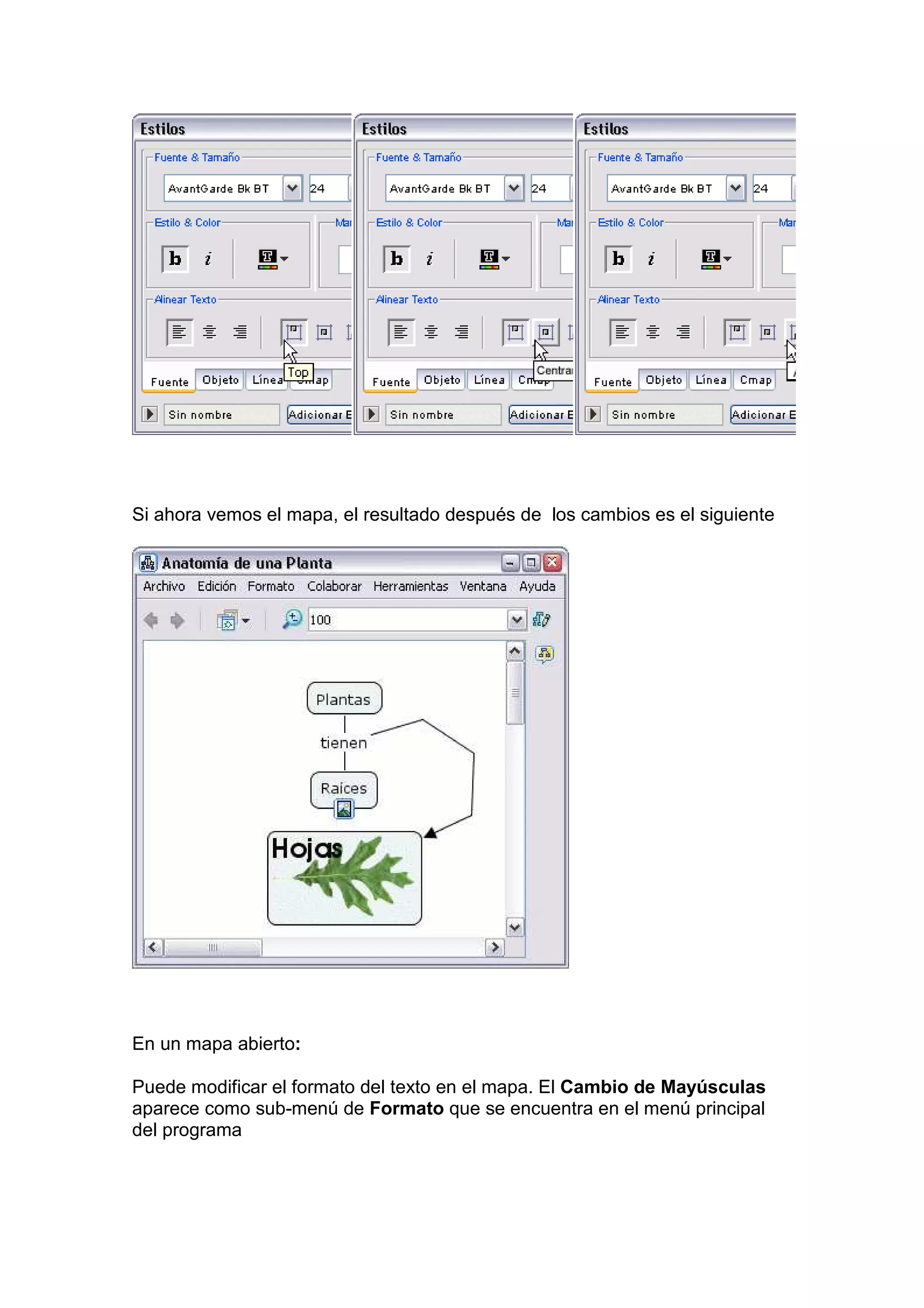 Si ahora vemos el mapa, el resultado después de los cambios es el siguiente




En un mapa abierto:

Puede modificar el formato del texto en el mapa. El Cambio de Mayúsculas
aparece como sub-menú de Formato que se encuentra en el menú principal
del programa
 