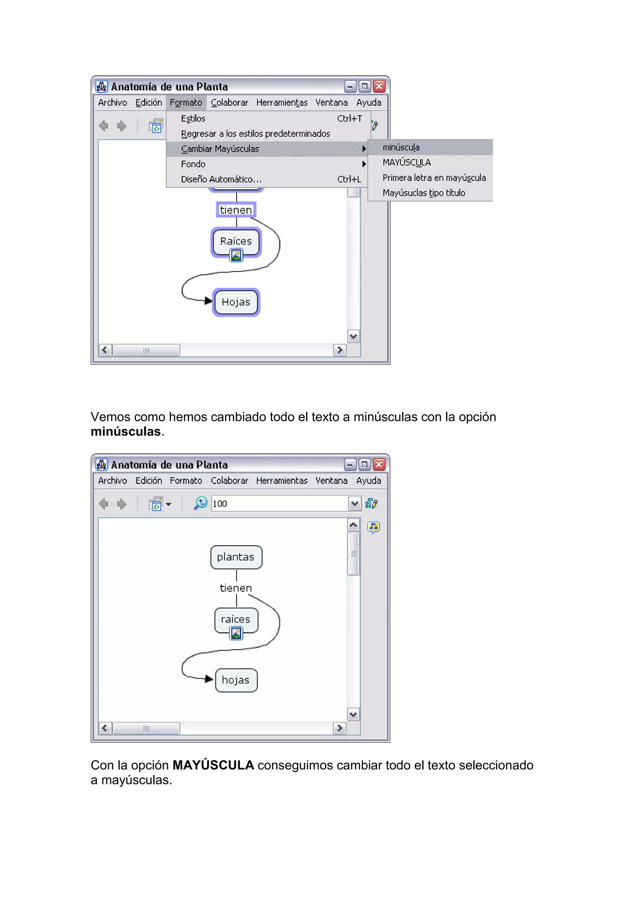 Vemos como hemos cambiado todo el texto a minúsculas con la opción
minúsculas.




Con la opción MAYÚSCULA conseguimos cambiar todo el texto seleccionado
a mayúsculas.
 