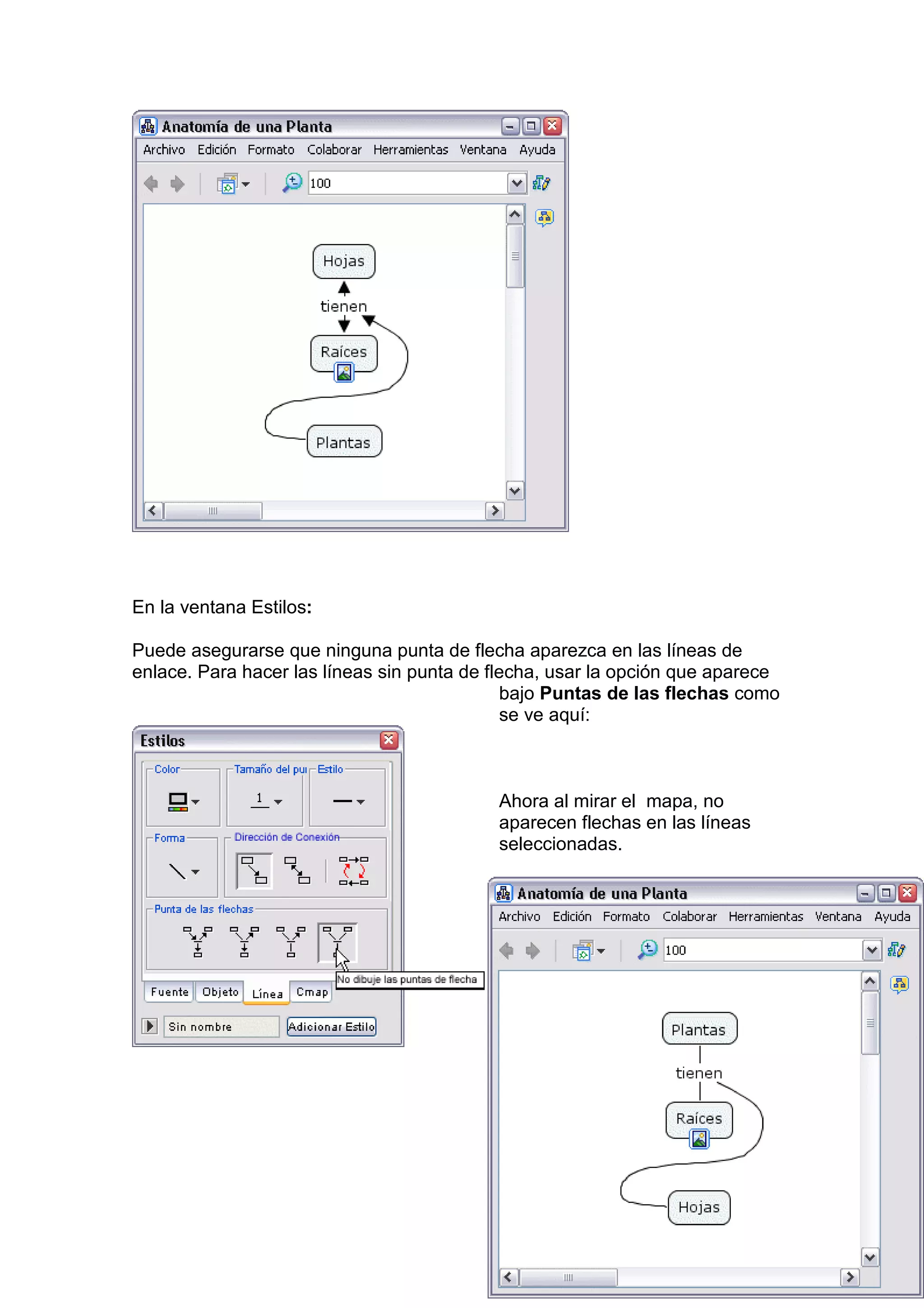 En la ventana Estilos:

Puede asegurarse que ninguna punta de flecha aparezca en las líneas de
enlace. Para hacer las líneas sin punta de flecha, usar la opción que aparece
                                              bajo Puntas de las flechas como
                                              se ve aquí:



                                           Ahora al mirar el mapa, no
                                           aparecen flechas en las líneas
                                           seleccionadas.
 