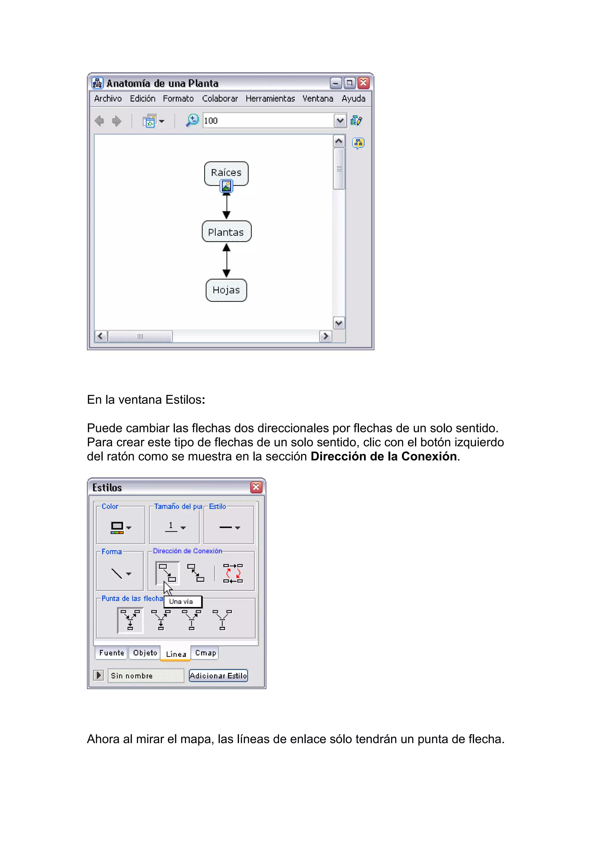 En la ventana Estilos:

Puede cambiar las flechas dos direccionales por flechas de un solo sentido.
Para crear este tipo de flechas de un solo sentido, clic con el botón izquierdo
del ratón como se muestra en la sección Dirección de la Conexión.




Ahora al mirar el mapa, las líneas de enlace sólo tendrán un punta de flecha.
 