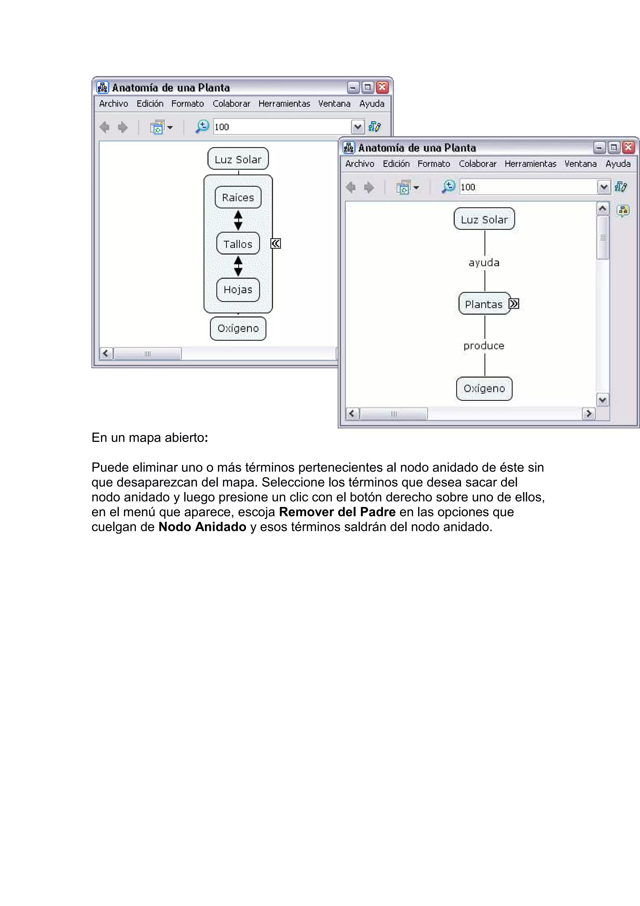 En un mapa abierto:

Puede eliminar uno o más términos pertenecientes al nodo anidado de éste sin
que desaparezcan del mapa. Seleccione los términos que desea sacar del
nodo anidado y luego presione un clic con el botón derecho sobre uno de ellos,
en el menú que aparece, escoja Remover del Padre en las opciones que
cuelgan de Nodo Anidado y esos términos saldrán del nodo anidado.
 