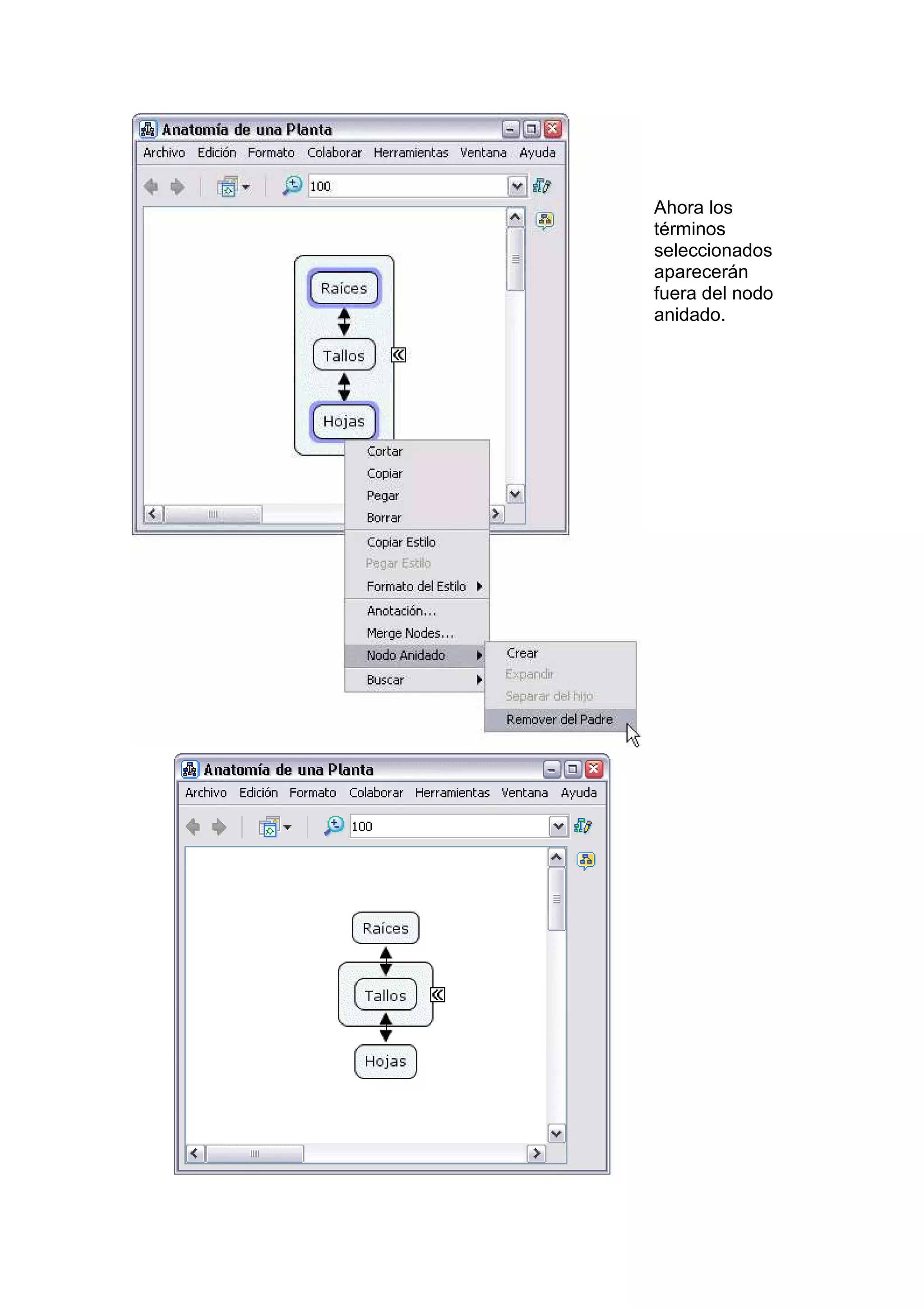 Ahora los
términos
seleccionados
aparecerán
fuera del nodo
anidado.
 