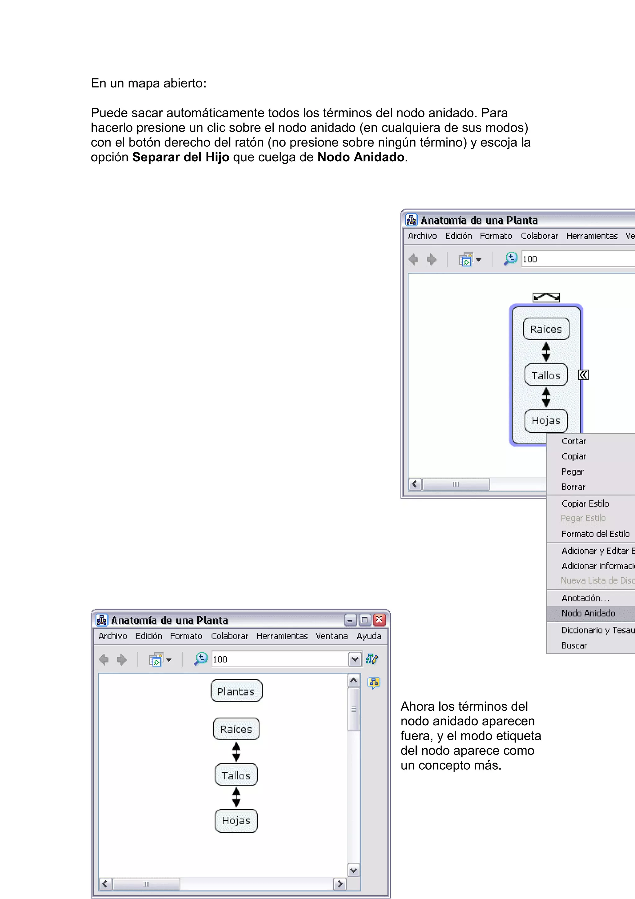 En un mapa abierto:

Puede sacar automáticamente todos los términos del nodo anidado. Para
hacerlo presione un clic sobre el nodo anidado (en cualquiera de sus modos)
con el botón derecho del ratón (no presione sobre ningún término) y escoja la
opción Separar del Hijo que cuelga de Nodo Anidado.




                                                      Ahora los términos del
                                                      nodo anidado aparecen
                                                      fuera, y el modo etiqueta
                                                      del nodo aparece como
                                                      un concepto más.
 